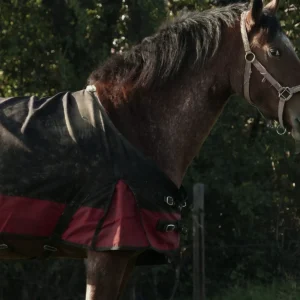 Horse Rug Hardware